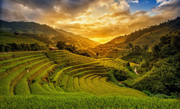 Sapa misty land