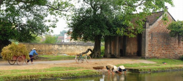 Vietnam village landscape