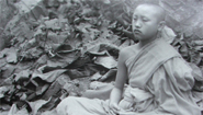 A monk in meditation