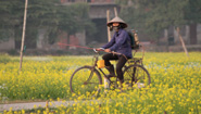 Cycling amid flowers