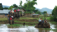 Riding elephant on Lak Lake