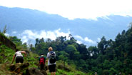 Fresh wild nature of Pu Luong