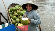 Selling fruits at a floating market of the Mekong River