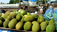 Mekong River floating market