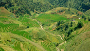 Sapa Valley