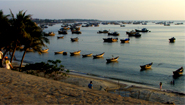 Phan Thiet Mui Ne Fishing Harbor