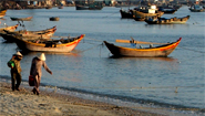 Phan Thiet Mui Ne Fishing Harbor