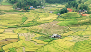 Sapa Terraces