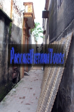 Village alleys of Tho Ha Village