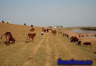 The dike of the Red River at Bac Ninh Province