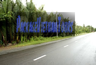 Roads in Ben Tre are lined with coconut forests