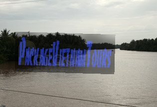 Mekong River branches are flanked by forests of coconuts at Ben Tre