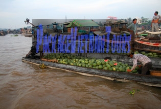 Cai Rang floating market - Can Tho