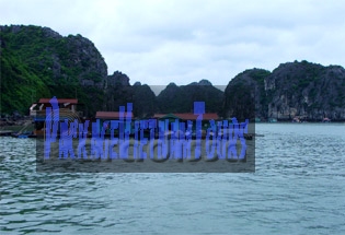 Floating Village near Cat Ba Island