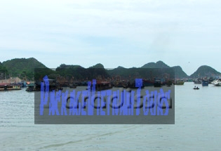 Cat Ba Island Pier