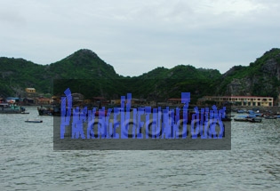 Cat Ba Island Fish Harbor