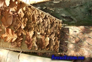 Booby trap at Cu Chi Tunnel