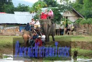 Promenade à dos d'éléphant au bord du lac Lak