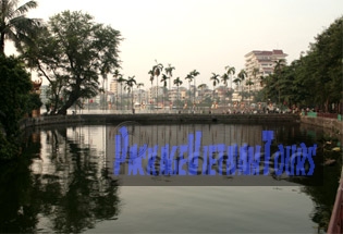 Areca palm trees at a corner of the West Lake