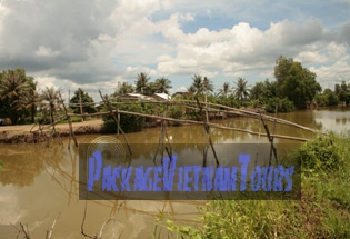 Un pont de singe de Kien Giang au Vietnam