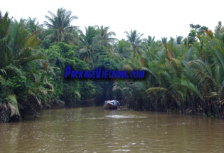 Une forêt de cocotiers My Tho - Ben Tre Vietnam