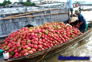 Floating Market on the Mekong River