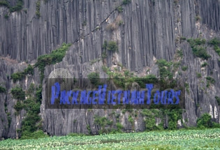 Rocks at Van Long Ninh Binh