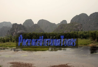 Les forêts vertes de Van Long Ninh Binh