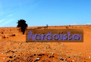 The red sand of Phan Thiet Mui Ne