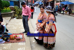 H'Mong Fleur Sapa Vietnam