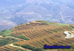 Sapa Terraces