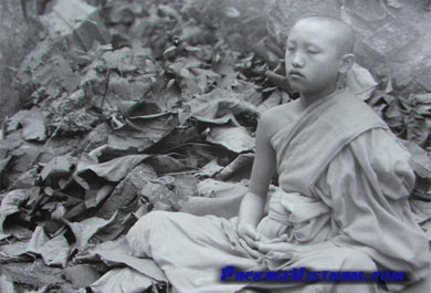 A monk in meditation