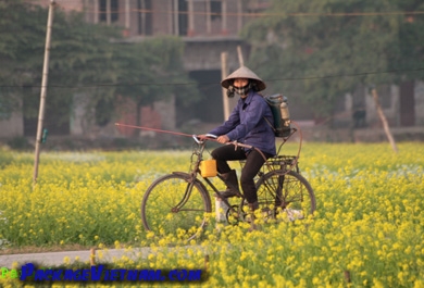 Vietnam à vélo