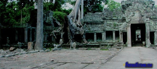 Jungle-clad Temple