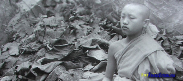 A monk in meditation