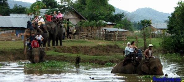 Elephant riding on the Lak Lake in Ban Me Thuat