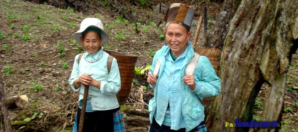 Hill Tribe at Pu Luong