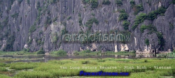 Van Long Nature Reserve - Ninh Binh - Vietnam