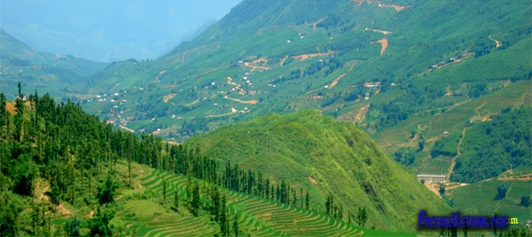 Sapa Valley