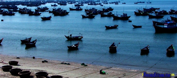 Phan Thiet Mui Ne Fishing Harbor