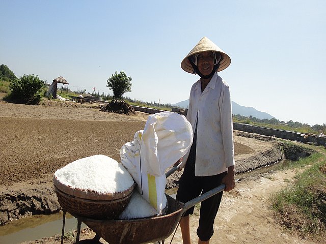 Hard life of salt farmers