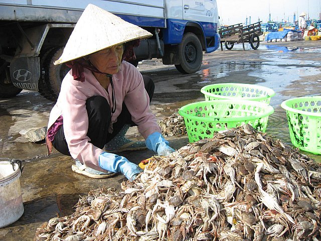 A woman selling crabs on the beach